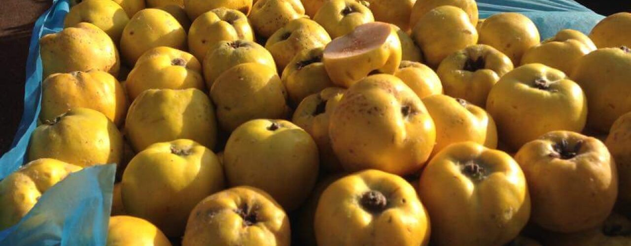 Long Live the Quince